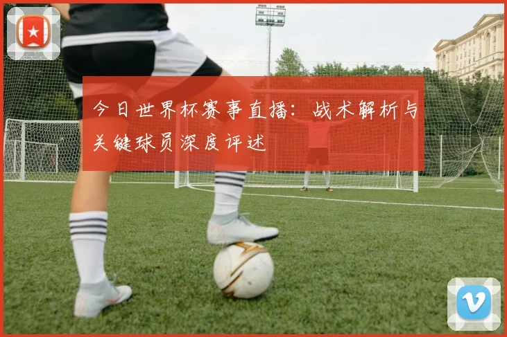 今日世界杯赛事直播:战术解析与关键球员深度评述